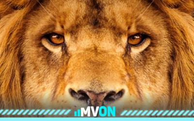 Imposto de renda 2022: O que acontece se não declarar?